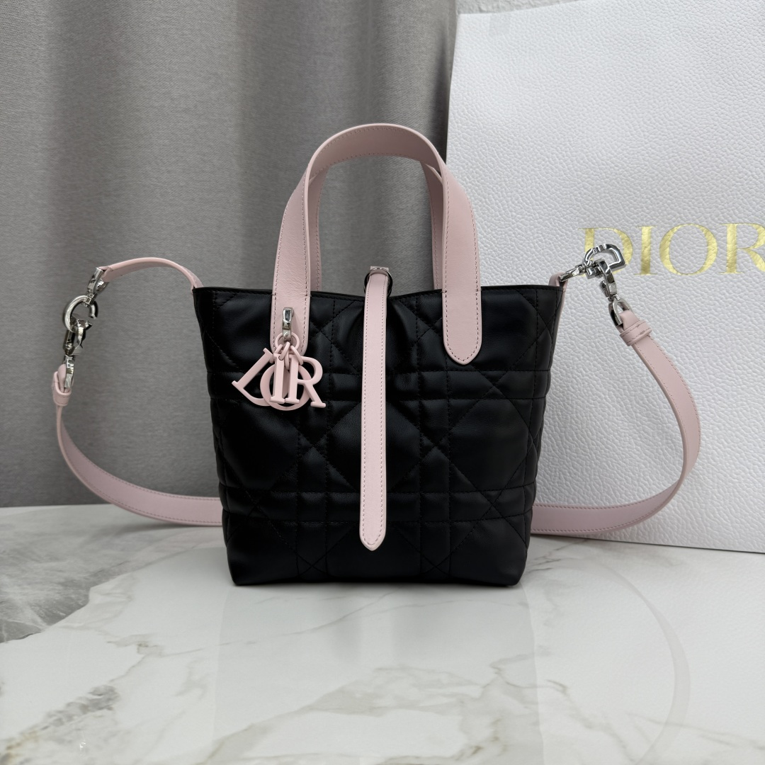 디올 뚜주흐백 스몰 버티컬 토트백 M2835