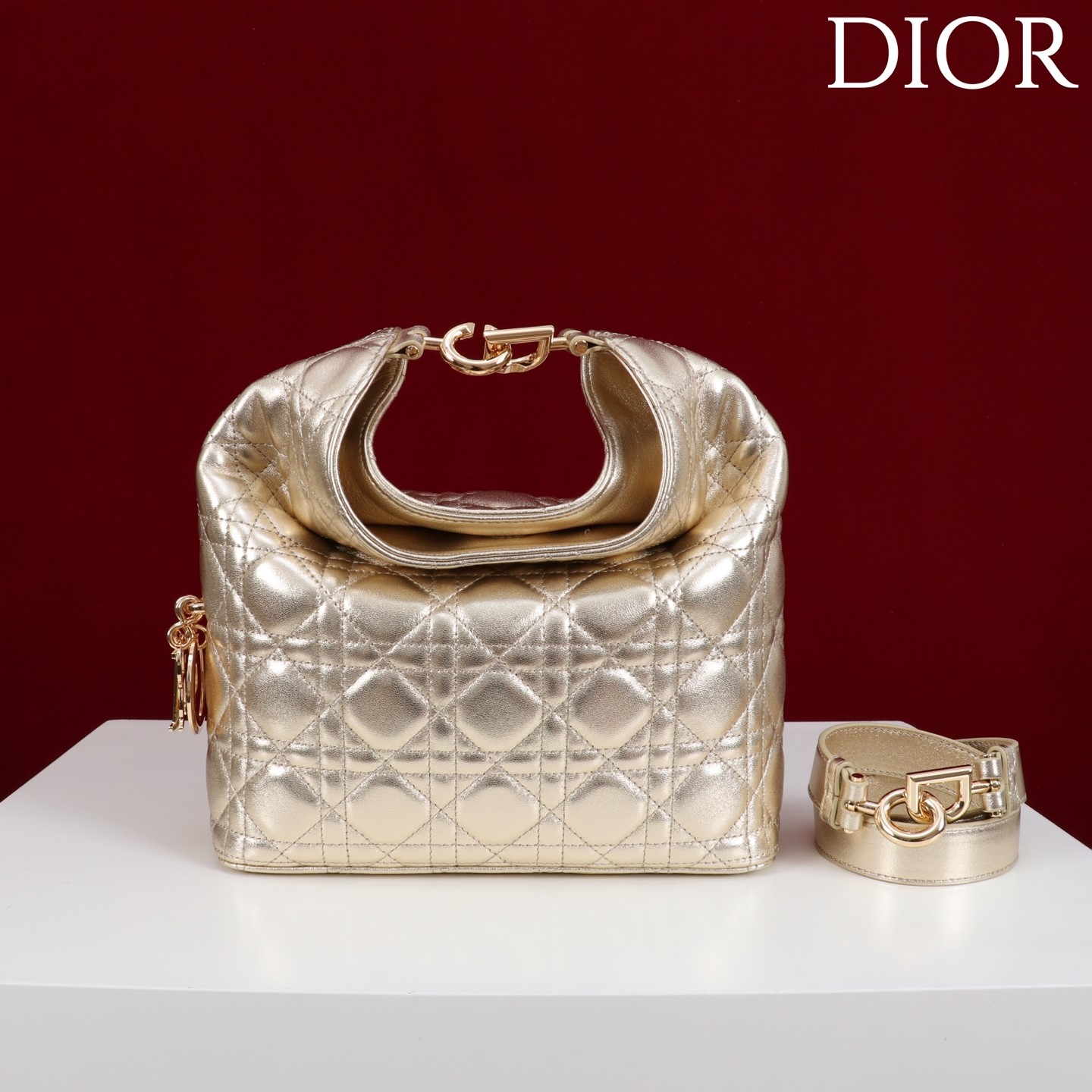 디올 뚜주흐 카프스킨 호보백