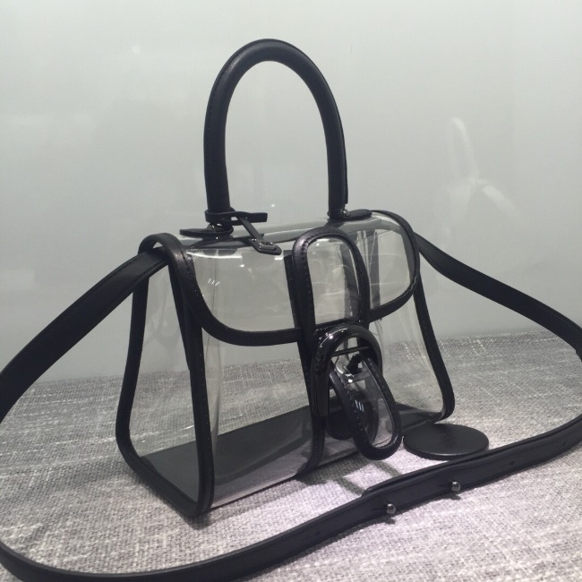 델보 브리앙 X-ray PVC Mini 블랙 토트백
