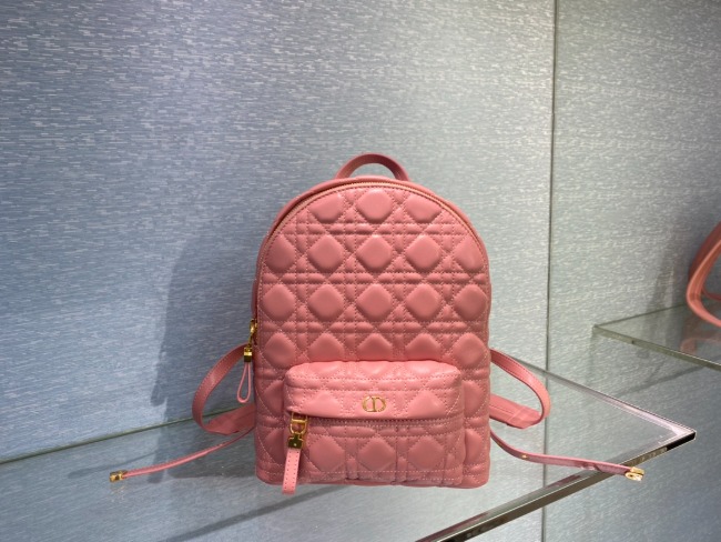 디올 Oblique Bag