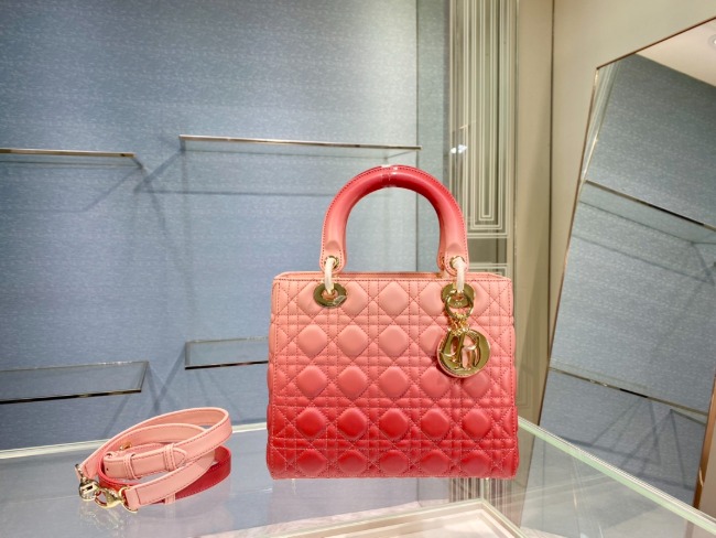 디올 Lady Bag