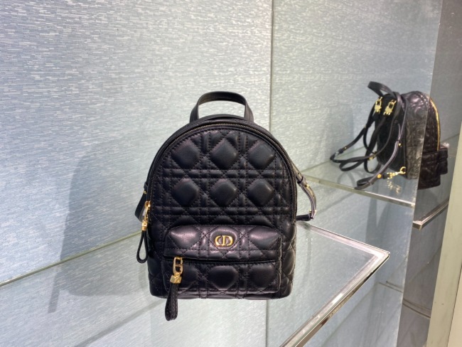 디올 Oblique Bag