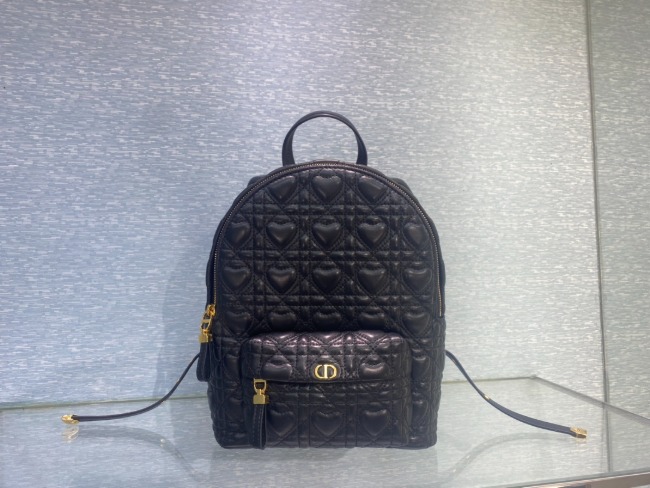 디올 Backpack Bag