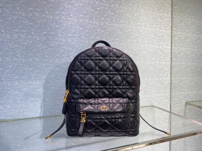 디올 Oblique Bag