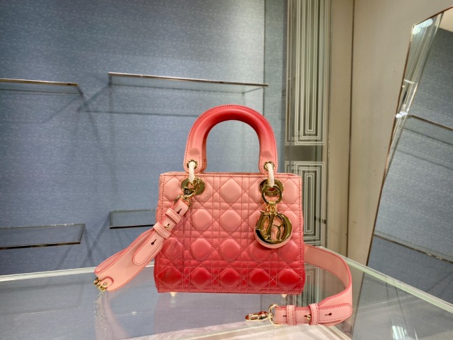디올 Lady Bag
