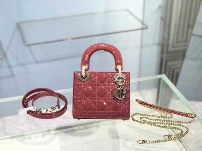 디올 Lady Bag