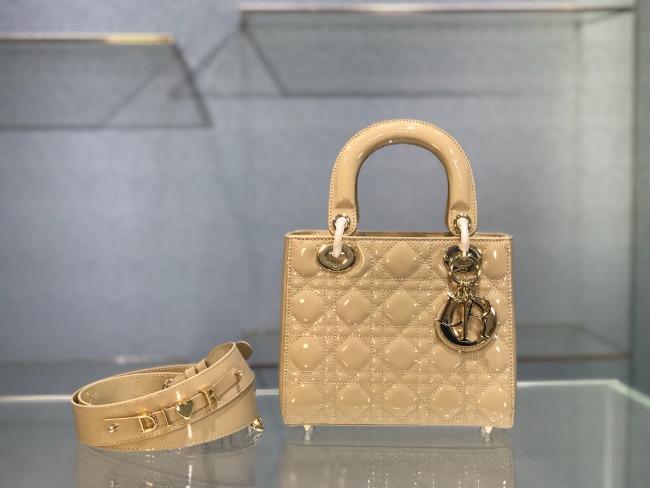 디올 Lady Bag