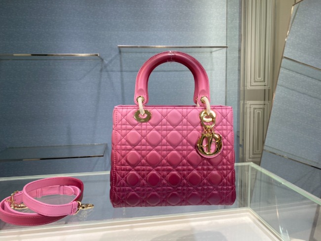 디올 Lady Bag