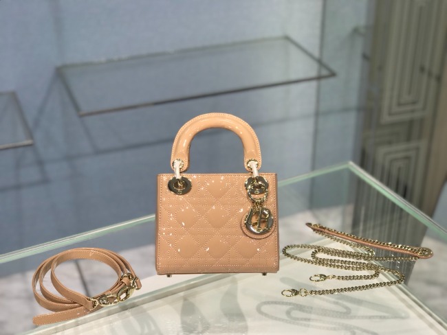 디올 Lady Bag