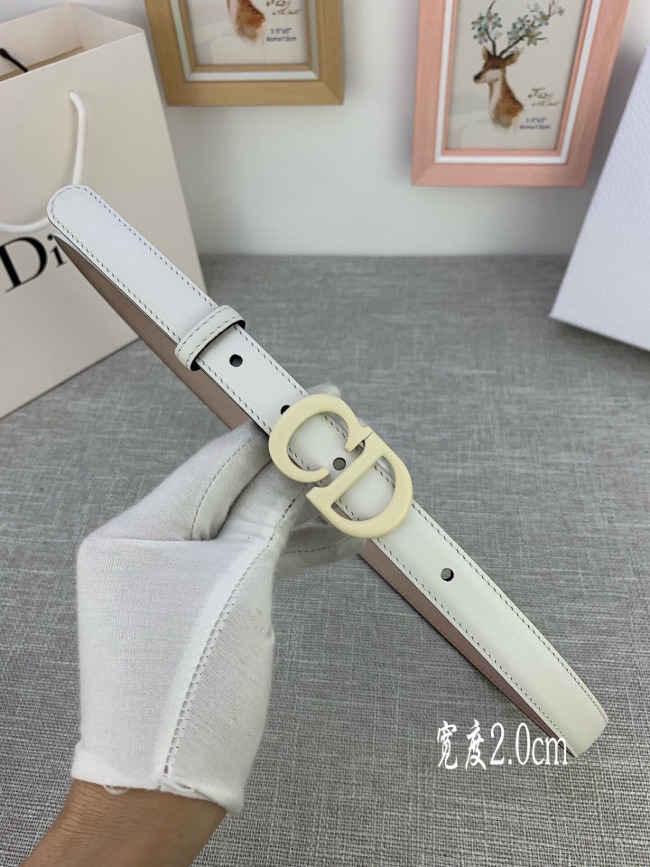 디올 여성벨트